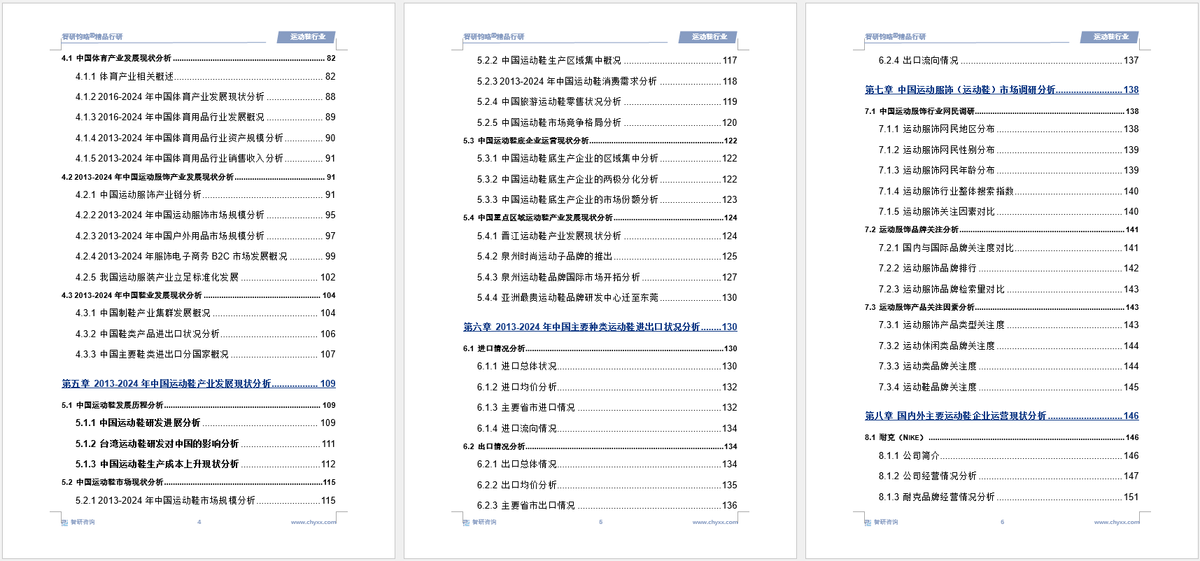 资前景研究报告（2025-2031年）球友会体育中国运动鞋行业发展现状及投(图3)