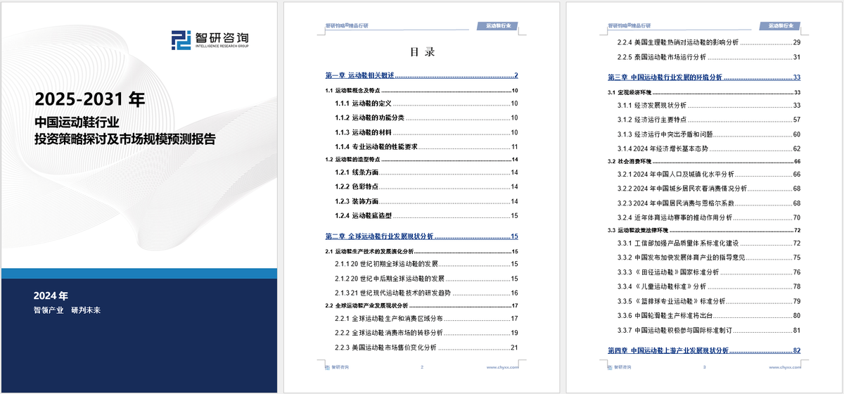 资前景研究报告（2025-2031年）球友会体育中国运动鞋行业发展现状及投(图2)