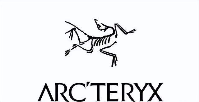 的全球十大运动品牌盘点下！千赢国际首页入口屹立不倒(图12)